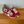 BALL STAR SNEAKERS WHITE STAR IN RED SUEDE AND CALFSKIN