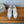 BALL STAR SNEAKERS WITH BEIGE STAR IN WHITE CALFSKIN AND GRAY SUEDE