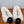 CC Coco Neige 25/26 Ballet Flats Black Suede White Furry