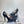 CD Miss Muse Pump Black Crocodile Printed Calfskin 820065