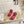 BV 26s Stretch Lace-Up Sandal 9cm Bright Pink Metallized Mesh Leather