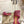 BV 26s Stretch Lace-Up Sandal 9cm Punch Pink Metallized Mesh Leather