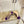 Jimmy Choo Saila Sandals 9cm Purple Sheepskin Suede 688234