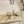 Jimmy Choo Saila Sandals 9cm Beige Sheepskin/Snake-Print Leather 688239