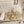 Jimmy Choo Saeda 100 Beige Lace Leather 688241