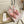 Jimmy Choo Saeda 100 Pink Lace Leather 688246