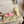 LP 26s Lock Charm Mules In Pink Suede
