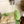 LP 26s Lock Charm Mules In Light Green Suede