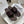 Signum Flat Sandal in Chocolate Calfskin 290733