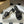 CD 25 D-Lane Heeled Slide Calfskin