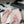 CC 25P Double C 1 Motif Thongs Sandal Pink Sheepskin 247701