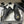 Mocassino con fibbia Double C da 25K, suola spessa, 25 mm, in pelle di agnello nera 247709