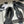 CC 25P Piccola Mary Jane Hollow in pelle di pecora nera grosgrain 247725