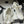 CC 25S Double C Rhinestone Buckle Bow High Heel Pump 85 White Sheepskin 247572