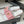 CC 25S Buckle Bag Mule Pink Fabric White Sheepskin 247599