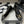 CC 25S 20mm Chain Bow Single Flat Black Velvet Sheepskin 247652