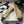 CC 25S 20mm Catena Fiocco Singolo Piatto Beige Pelle di Pecora Grosgrain Nero 247654