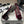 CC 25S Fiore di balletto