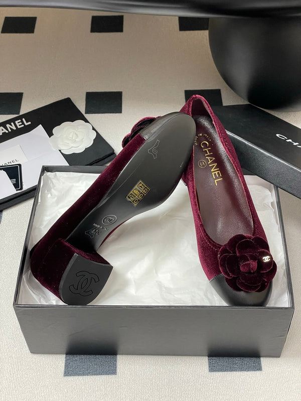 CC 25S Fiore di balletto