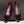 CC 25S Fiore di balletto