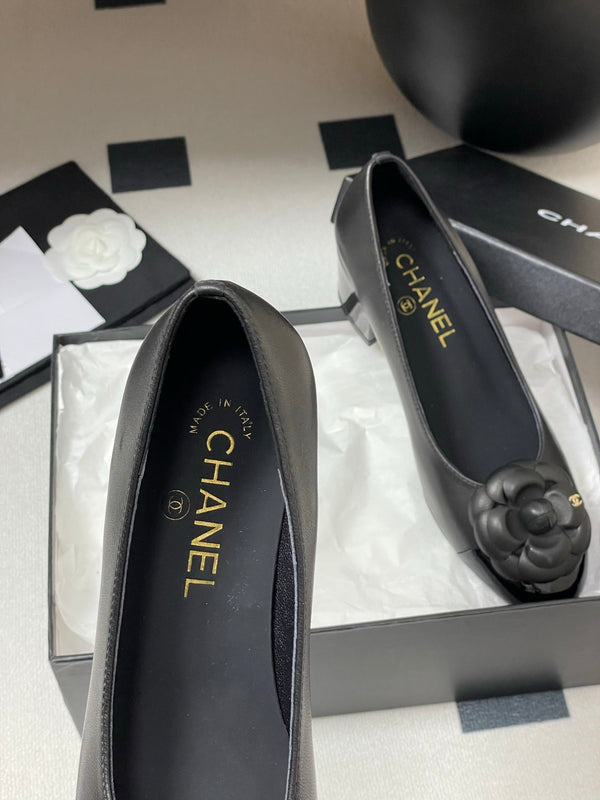 CC 25S Fiore di balletto