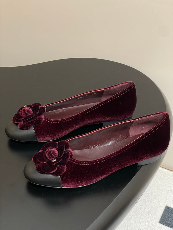 CC 25S Fiore di balletto