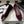 CC 25S Fiore di balletto