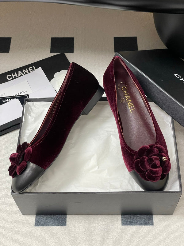 CC 25S Fiore di balletto