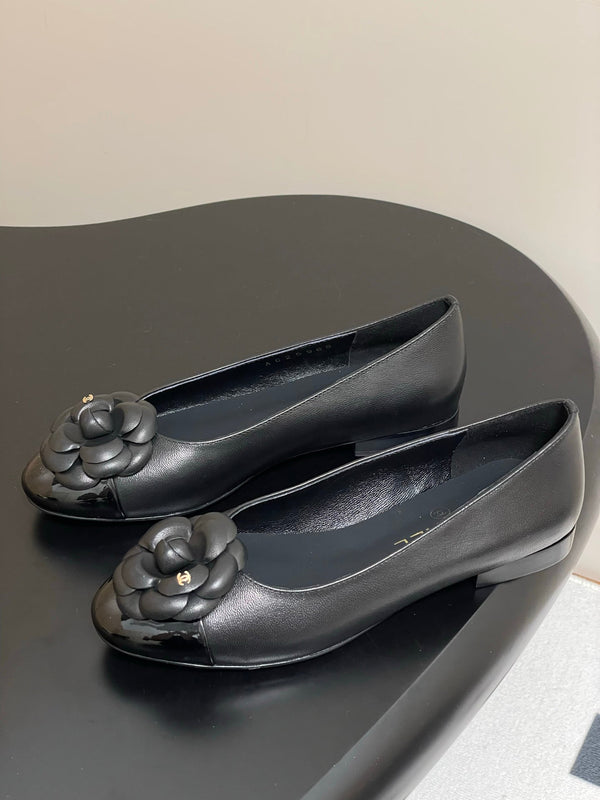CC 25S Fiore di balletto