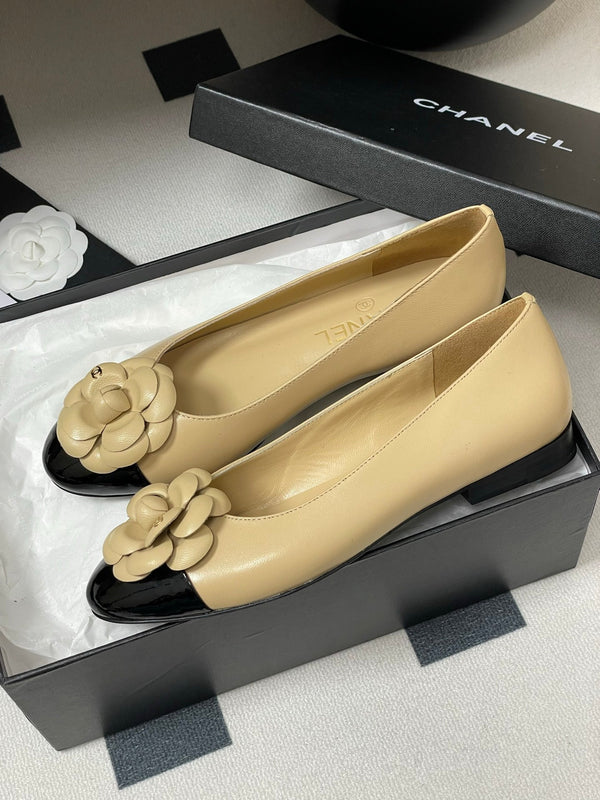 CC 25S Fiore di balletto