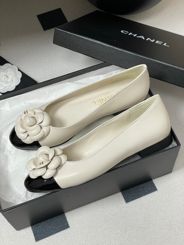 CC 25S Fiore di balletto