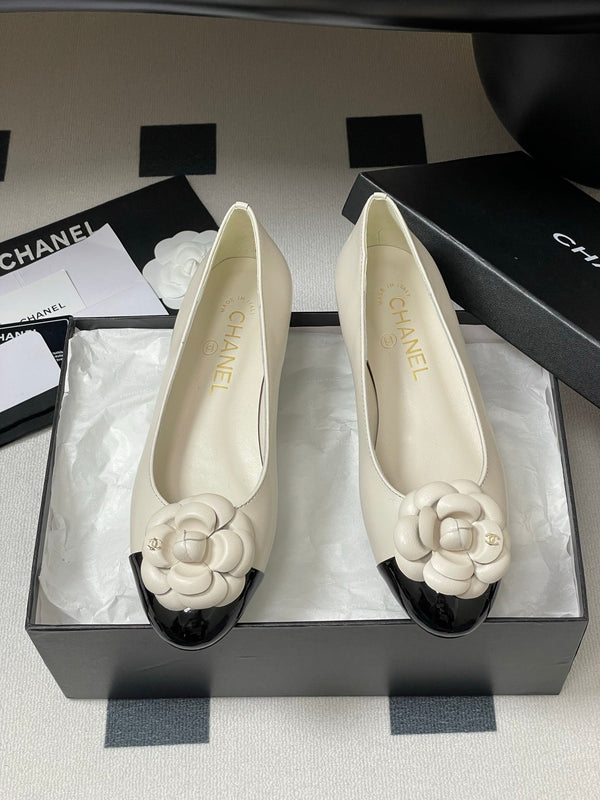 CC 25S Fiore di balletto