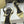 The Row 25S Strap High Heel Sandals 85mm Beige Sheepskin 286191
