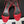 The Row 25S Strap High Heel Sandals 35mm Red Snake Pattern Cowhide 286195