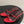 The Row 25S Strap High Heel Mule Sandals 85mm Red Snake Pattern Cowhide 286203