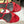 The Row 25S Strap High Heel Mule Sandals 35mm Red Snake Pattern Cowhide 286211