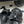 CC 25SS Big Bow Sandali con suola spessa in pelle di agnello nera 319708