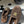 Mocassino con cinturino CC 25A in pelle scamosciata Sherpa color cioccolato