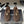 Mocassino con cinturino CC 25A in pelle scamosciata Sherpa color cioccolato