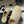 CC 25 Mules con plateau Begei in pelle di pecora 356396