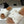 CL 25s Lympia Twisted Sandal White Brown Sheepskin Plush Cloth 416657