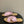 CC 26 Criss-cross Strap Slipper Pink Beige Sheepskin 593301