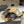 CC 26 Criss-cross Strap Slipper Black Beige Sheepskin 593304
