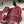 Mocassins à enfiler GG 26ss toile Double G rouge 593493