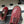 Mocassins à lacets CC 26 en peau de mouton bordeaux 594246