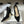 CD Tribales Pump 80mm Black Suede 676349