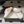 CC 26s Mules Light Pink White Quilted Leather Shearing 952553