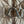 Moncler 2025 Courcelles Jacket Brown Down Polyester