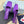PRA SQUARE TOE SLINGBACK PUMPS VIOLET SATIN