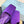 PRA SQUARE TOE MULES VIOLET SATIN
